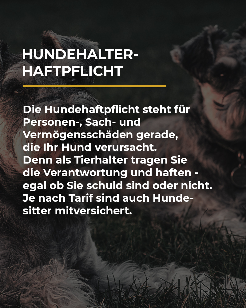 Hundehalterhaftpflicht
