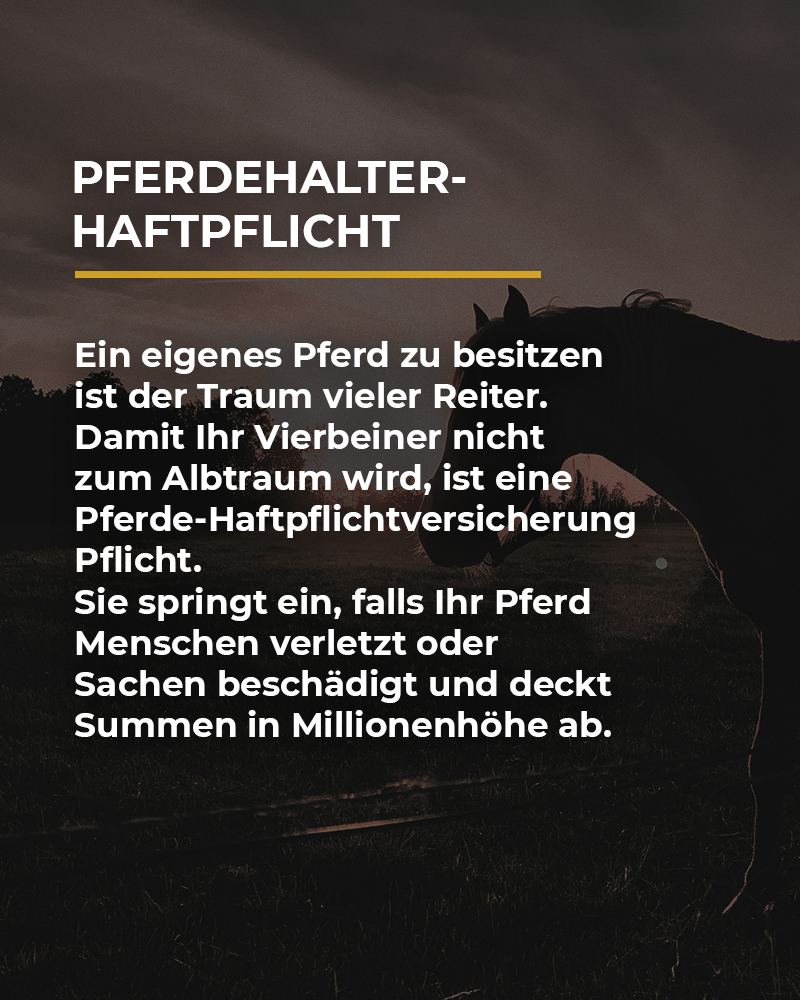 Pferdehalterhaftpflicht