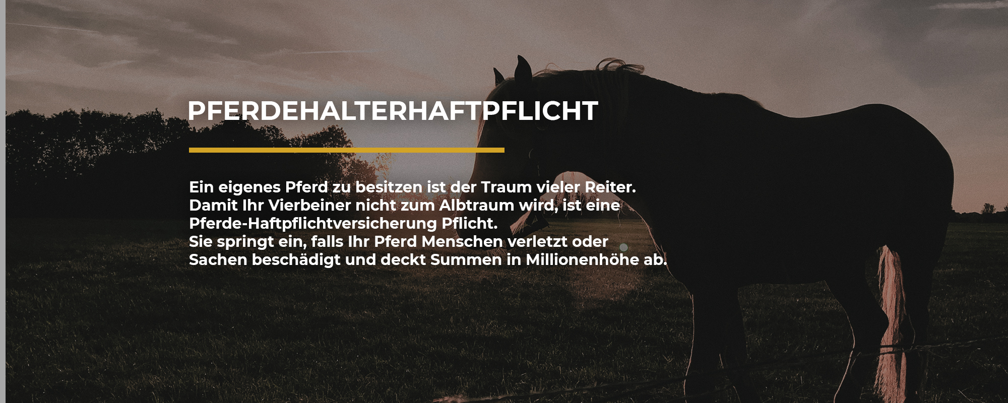 Pferdehalterhaftpflicht