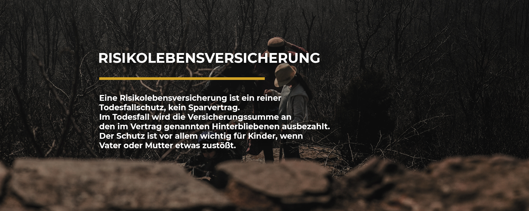 Risikolebensversicherung