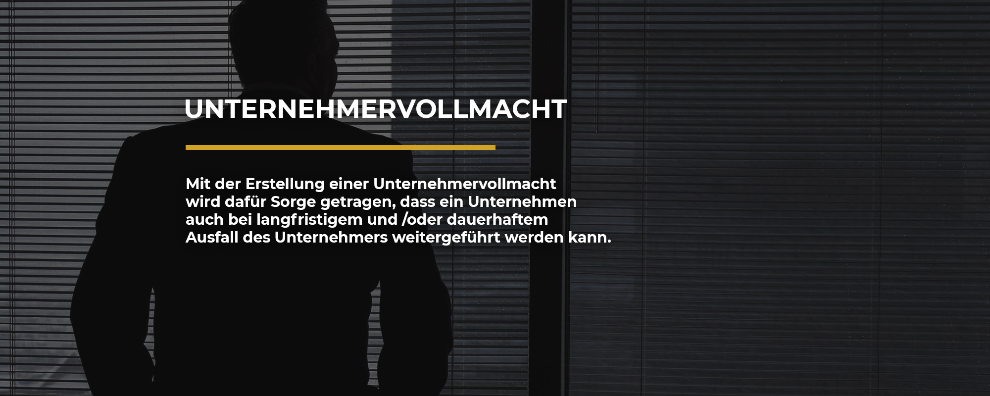 Unternehmervollmacht